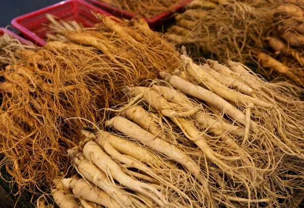 Ginseng fresco para venda — Fotografia de Stock