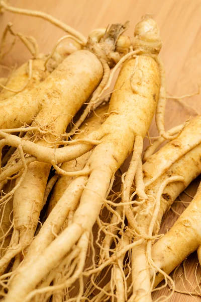 Ginseng fresco da vicino — Foto Stock