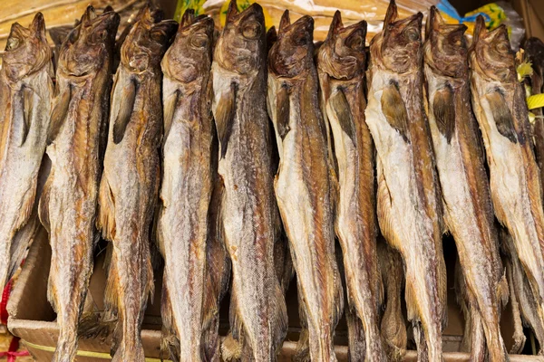 Trockener salziger Fisch — Stockfoto
