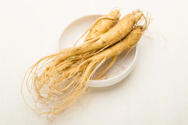 Ginseng fresco coreano — Foto Stock