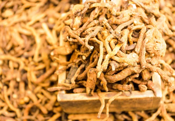 Gedroogde ginseng op Koreaans voedselmarkt — Stockfoto