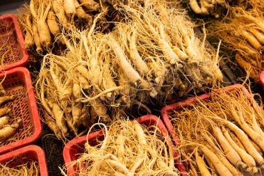 Kore gıda pazarında satmak için taze ginseng