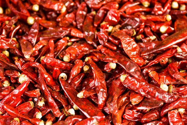 Pimientos chile rojo — Foto de Stock