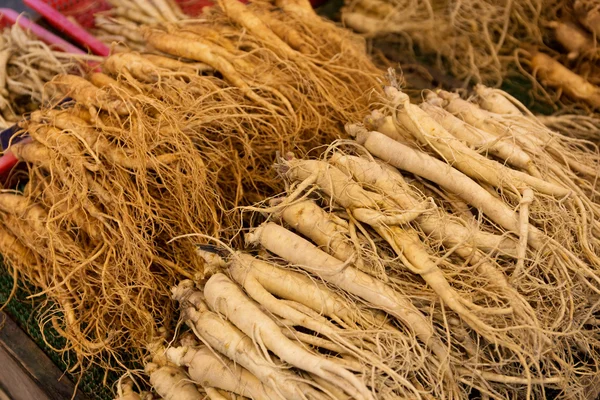 Ginseng fresco no mercado alimentar — Fotografia de Stock