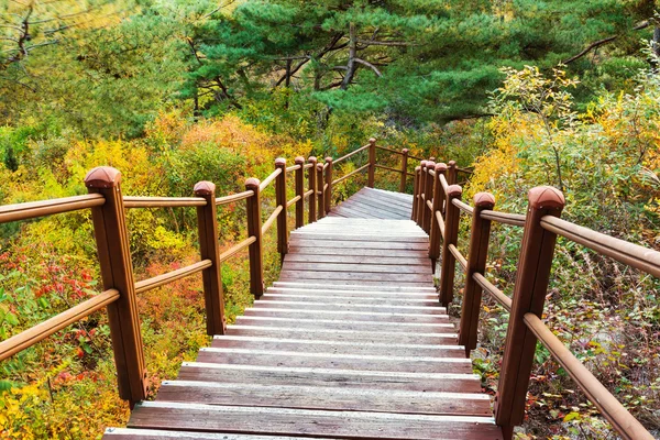 Wooden hiking path to the mountain — Stock Photo, Image