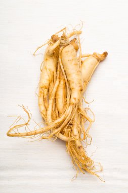 taze ginseng
