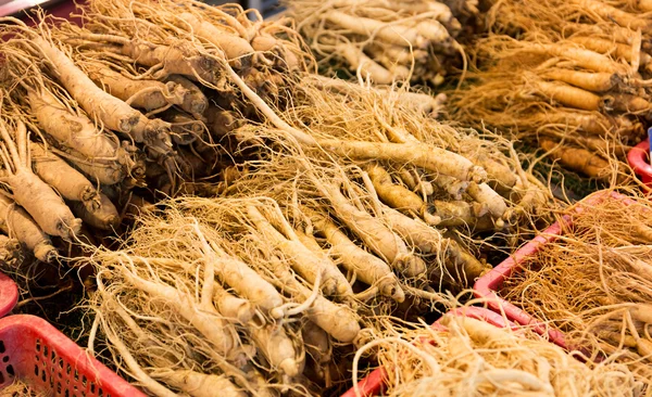 Frischer Ginseng auf dem Lebensmittelmarkt — Stockfoto