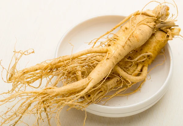 Ginseng fresco — Fotografia de Stock