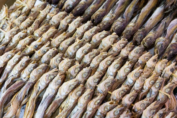 Peixe salgado seco — Fotografia de Stock