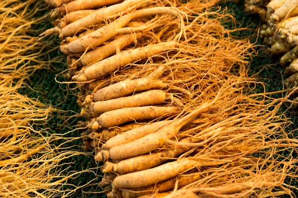 Frischer Ginseng auf dem Lebensmittelmarkt — Stockfoto