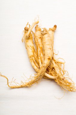 taze ginseng üzerinde beyaz izole