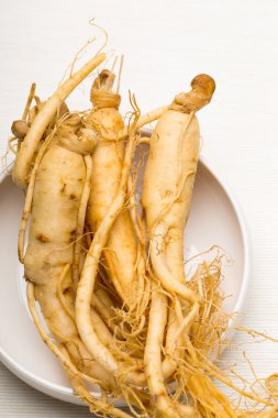 taze ginseng