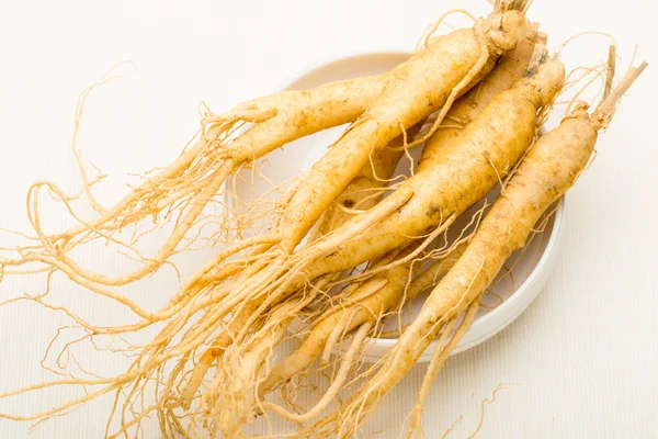 Fresh Ginseng stick — Stock Photo, Image