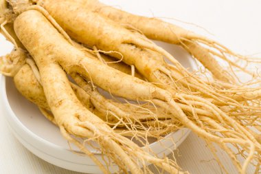 taze ginseng doku