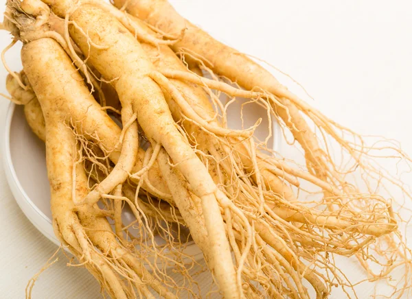 Fresh Ginseng — Stock Photo, Image