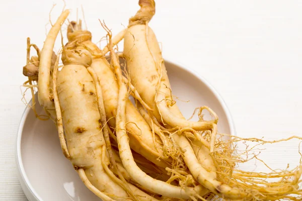 Färska ginseng — Stockfoto