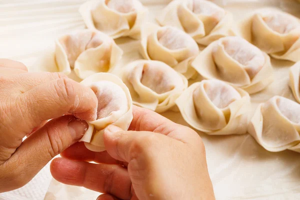 Homemade Chinese dumplings — Stockfoto