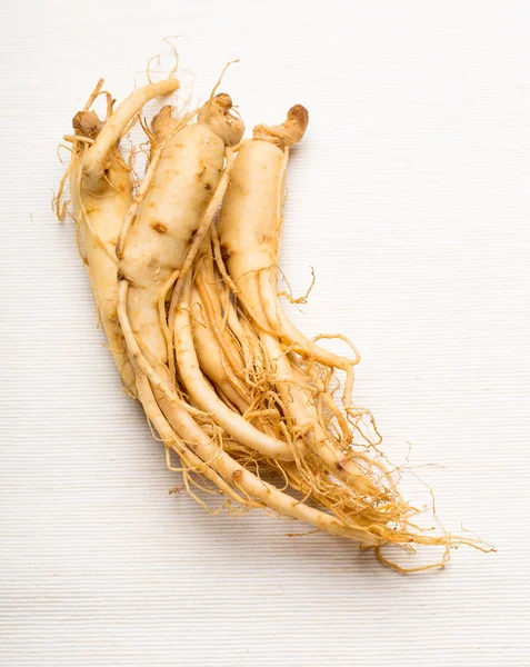 Ginseng fresco — Fotografia de Stock