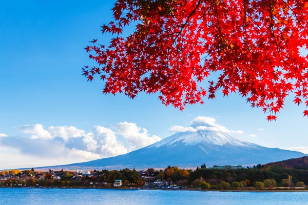 Mt. Fuji in autumn — Stock Photo, Image