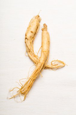 taze ginseng