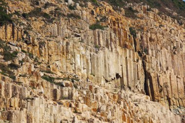 hong Kong coğrafi park