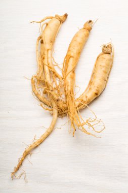 taze ginseng