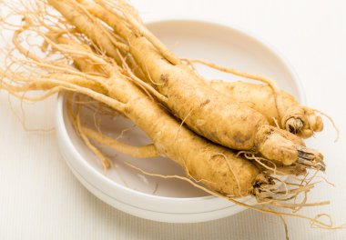 taze ginseng kökü doku