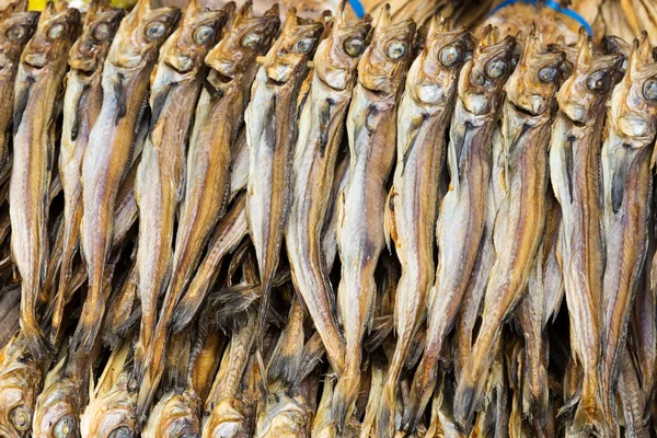 Asian salty fish — Stock Photo, Image