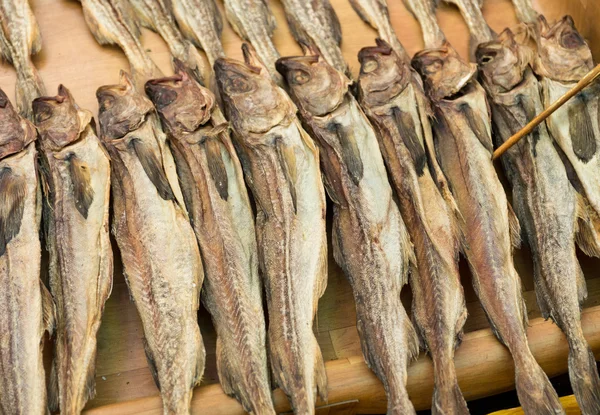 塩漬け魚の保持 — ストック写真