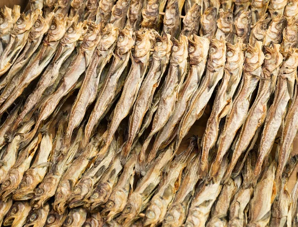 Pesce salato tradizionale — Foto Stock