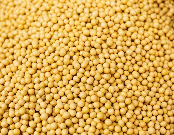 Yellow Mustard Seed — Stock Photo, Image