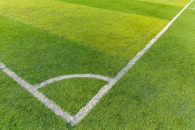 Futbol Mahkemesi çimen