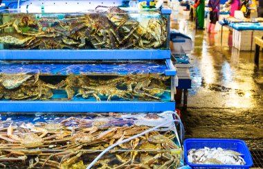 Seafood market akvaryum