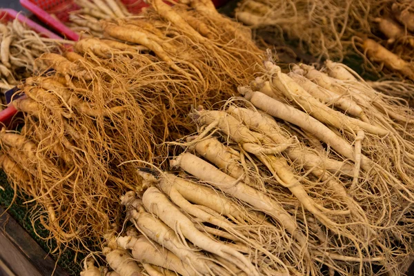 Ginseng fresco — Foto Stock