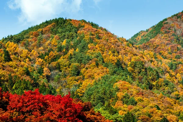 Autumn mountain — Stock Photo, Image