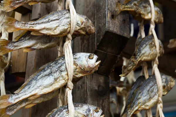 Salziger Fisch — Stockfoto