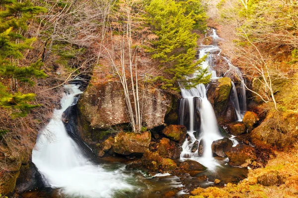 Cascada en el bosque — Foto de Stock