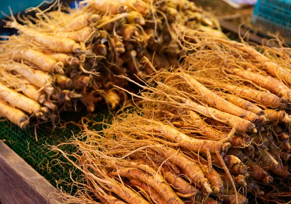 Palillo de raíz de ginseng —  Fotos de Stock