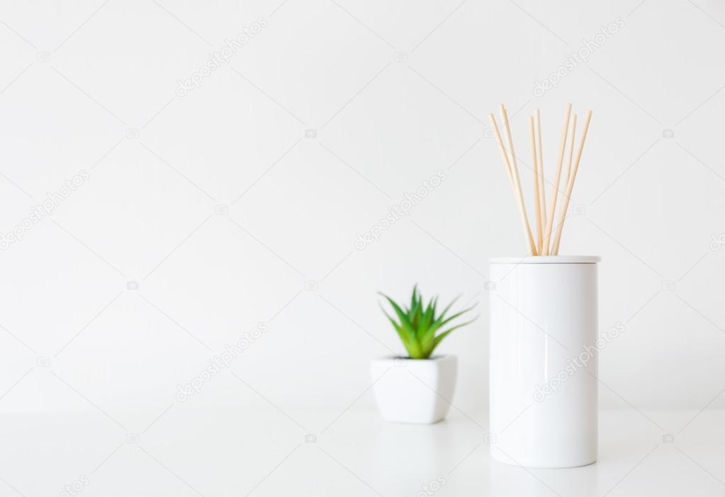 Home diffuser and potted plant