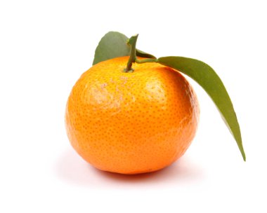 yeşil yaprak ile portakal mandalina