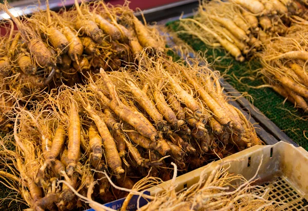 Ginseng fresco nel mercato alimentare — Foto Stock