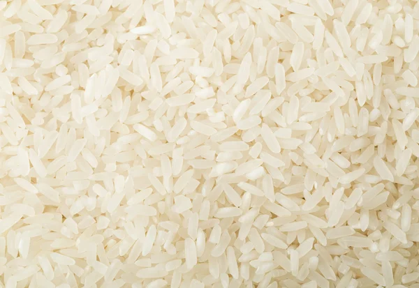 Chinesischer weißer Reis — Stockfoto