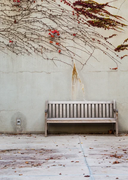 Relaxamento com banco no jardim — Fotografia de Stock