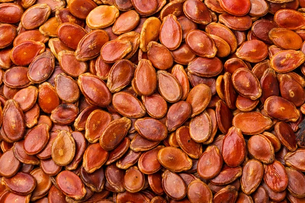 Red melon seed for lunar new year — Stock Photo, Image