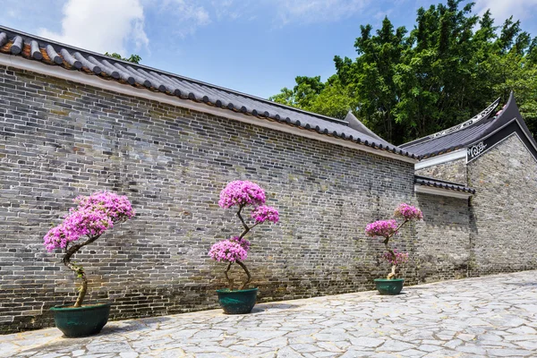 Traditioneller chinesischer Garten — Stockfoto