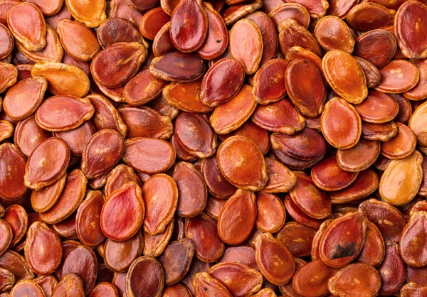 Семена красной дыни — стоковое фото
