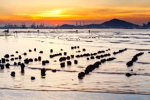 Seascape during sunset — Stock Photo, Image