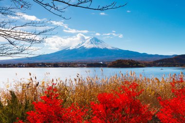 Mt. Fuji in autumn clipart
