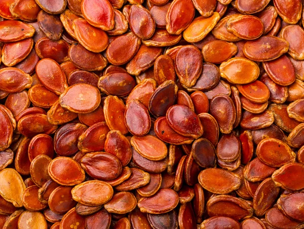 Red melon seeds background — Stock Photo, Image
