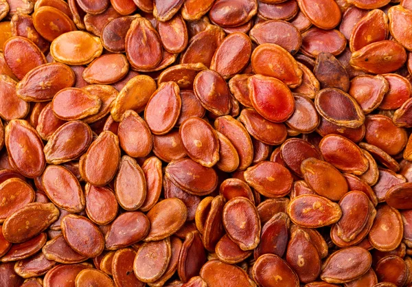 Red watermelon seed — Stock Photo, Image